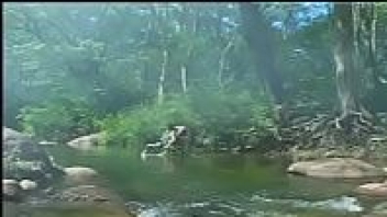 เสียวหี เย็ดสด เย็ด หี หนังโป๊ไทย